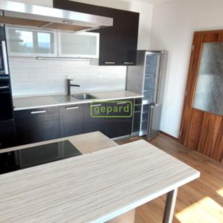 Pronájem bytu 2+kk 41 m² České Budějovice 7, Papírenská