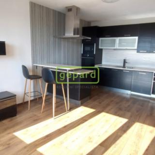 Pronájem bytu 2+kk 41 m² České Budějovice