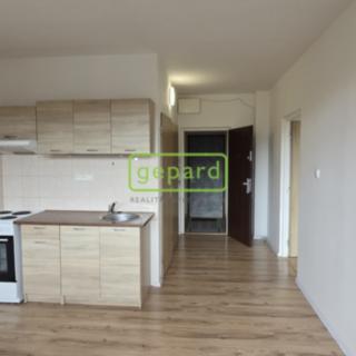 Pronájem bytu 1+1 40 m² Větřní, Šumavská