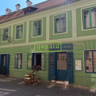 Prodej rodinného domu 524 m² Český Krumlov Plešivec, Linecká