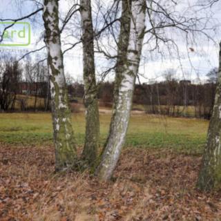 Prodej zemědělské půdy 4 674 m² Trhové Sviny