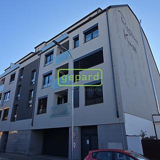 Pronájem bytu 1+kk a garsoniéry 41 m² České Budějovice 6, Chelčického