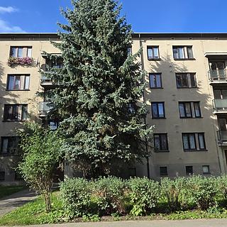 Prodej bytu 3+1, 69m²