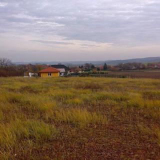 Prodej stavební parcely 1 376 m² Občov