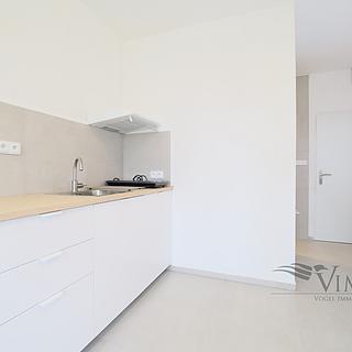 Pronájem bytu 1+kk, garsoniery 20 m&sup2; České Budějovice