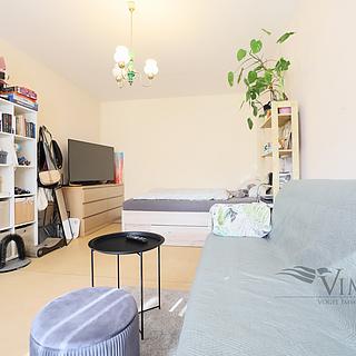 Pronájem bytu 1+1 41 m² České Budějovice 2, V. Volfa