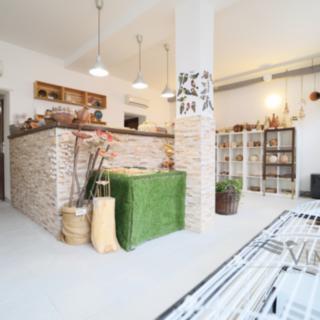 Pronájem obchodu 69 m² České Budějovice