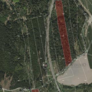 Prodej lesa 12320 m² Borovany