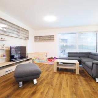 Prodej bytu 4+kk 89 m² Nové Hrady, Vilová čtvrť
