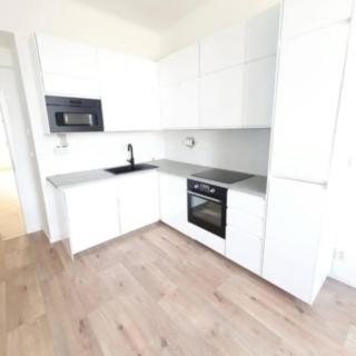 Pronájem bytu 2+1 75 m² Praha Žižkov, Hartigova