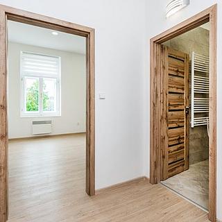 Pronájem bytu 1+kk a garsoniéry 30 m² Hradec Králové, náměstí Svobody