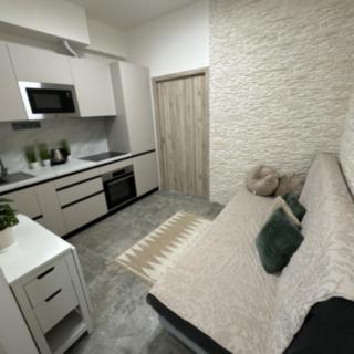 Pronájem bytu 2+kk 23 m² Praha Nové Město, Sokolská