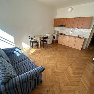 Pronájem bytu 1+kk a garsoniéry 28 m² Praha Nusle, U křížku