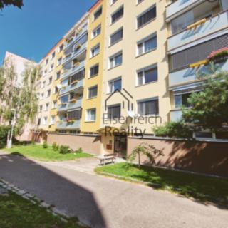 Pronájem bytu 1+1 38 m² Hradec Králové