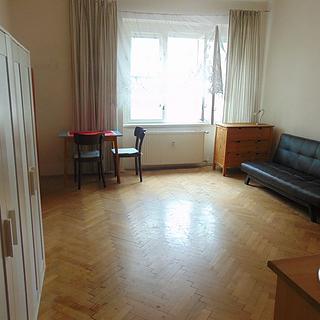 Pronájem bytu 1+kk a garsoniéry 28 m² Praha Nusle, U křížku