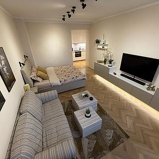 Pronájem bytu 1+1, 36m&sup2;