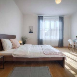 Pronájem bytu 3+kk 106 m² Praha Holešovice, Ortenovo náměstí