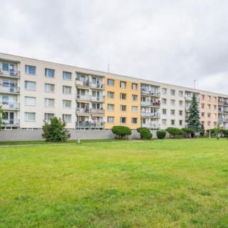 Pronájem bytu 1+1 33 m² Hradec Králové Moravské Předměstí, Vysocká