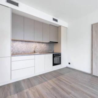 Pronájem bytu 2+kk 52 m² Praha
