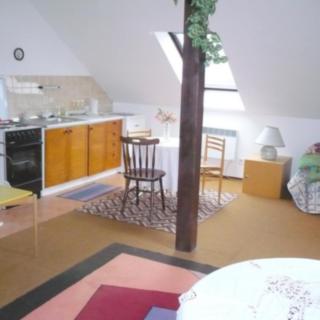 Pronájem pokoje 25 m² Mnichovice