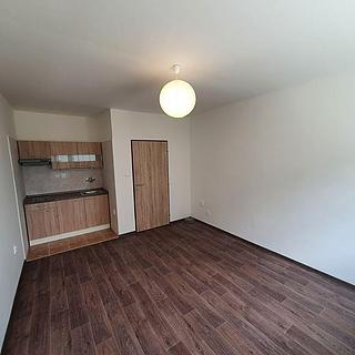 Prodej bytu 1+kk a garsoniéry 24 m² Hradec Králové Nový Hradec Králové, Brožíkova