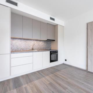 Pronájem bytu 2+kk 53 m² Praha