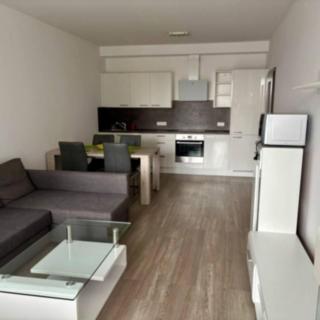 Pronájem bytu 2+kk 67 m² Praha