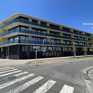 Pronájem bytu 3+kk 113 m² Hradec Králové, Pálenecká