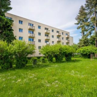 Pronájem bytu 2+1 55 m² Hradec Králové