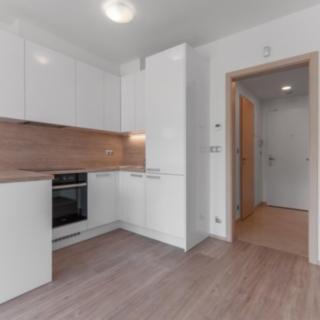 Pronájem bytu 1+kk, garsoniery Praha