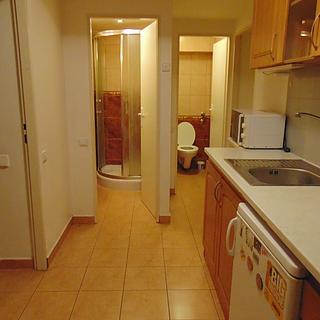 Pronájem bytu 2+kk 46 m² Praha Strašnice, Věšínova