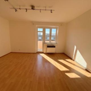 Pronájem bytu 1+1 43 m² Praha Nusle, Kloboučnická