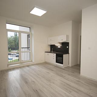 Pronájem bytu 1+kk a garsoniéry Milovice, Slepá