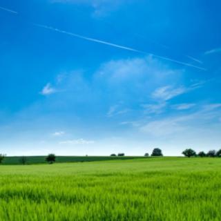 Pronájem stavební parcely 10000 m² Zbuzany