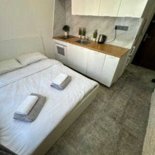 Pronájem bytu 1+kk a garsoniéry 19 m² Praha