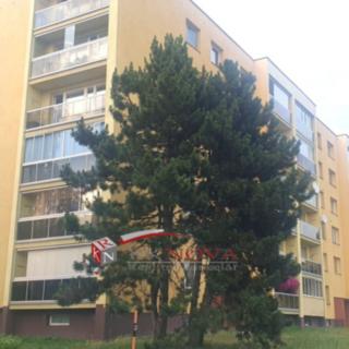 Prodej bytu 3+1 89 m² Karviná Nové Město, Závodní