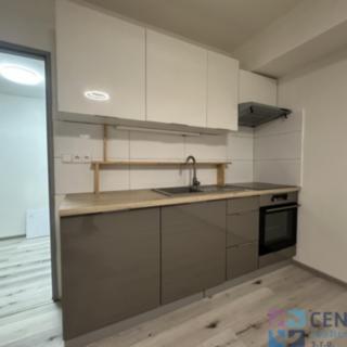 Pronájem bytu 1+kk a garsoniéry 26 m² Zásada