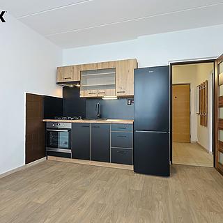 Pronájem bytu 1+1 35 m² Plzeň Severní Předměstí, Brněnská