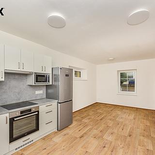 Pronájem rodinného domu 130 m² Zruč-Senec Senec, U pomníku