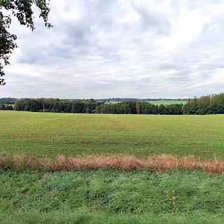 Prodej zemědělské půdy 22505 m&sup2; Úmonín