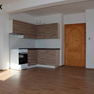 Pronájem bytu 1+kk a garsoniéry 35 m² Klatovy II, Rybníčky