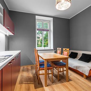 Prodej bytu 1+1 40 m² Plzeň Východní Předměstí, Koterovská