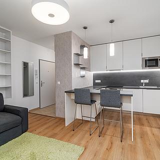 Pronájem bytu 2+kk 40 m² Zbůch