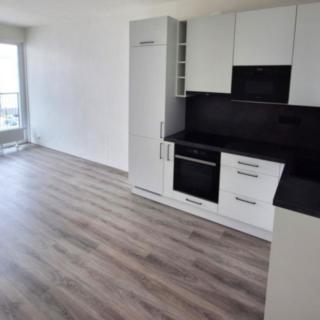 Pronájem bytu 1+kk a garsoniéry 40 m² Plzeň Skvrňany, Františka Kováříka