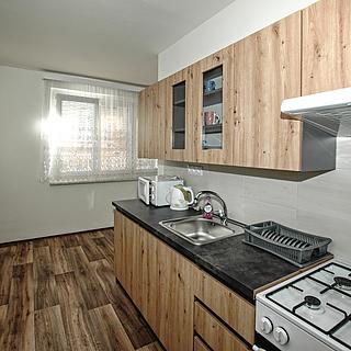 Pronájem bytu 1+1, 42m²