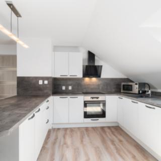 Prodej rodinného domu 450 m² Vejvanov