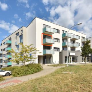 Pronájem bytu 1+kk, garsoniery 36 m² Plzeň