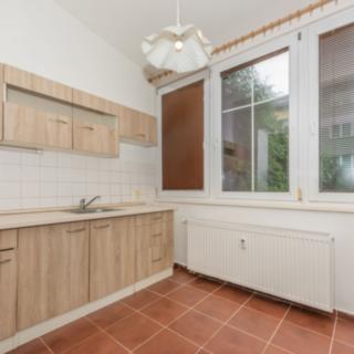 Pronájem bytu 1+1 38 m² Plzeň