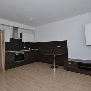 Pronájem bytu 1+kk a garsoniéry 32 m² Plzeň Černice, Štefánikova