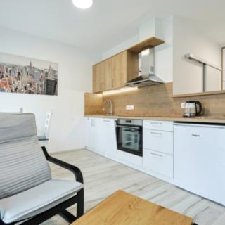 Pronájem bytu 1+kk a garsoniéry 38 m² Plzeň Východní Předměstí, Sladová